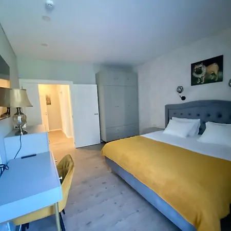 Apartament Ornamentai Druskieniki